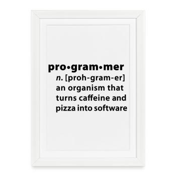 Programmer dictionary definition - Framed poster (27 × 37 cm) - white - Front
