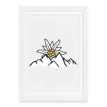 Fleur de montagne du soleil Edelweiss - Affiche encadrée (27 × 37 cm) - blanc - Devant
