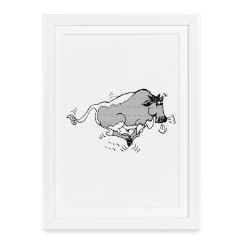 Taureau du Pinzgau drôle - Affiche encadrée (27 × 37 cm) - blanc - Devant