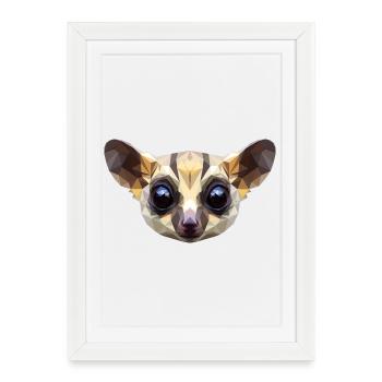 Galago Buisson Bébé Singe Galagos Singe Mignon Galago - Affiche encadrée (27 × 37 cm) - blanc - Devant