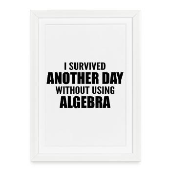 I survived without doing algebra today - Framed poster (27 × 37 cm) - white - Front