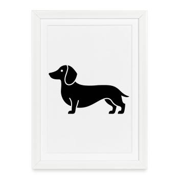 teckel - Affiche encadrée (27 × 37 cm) - blanc - Devant