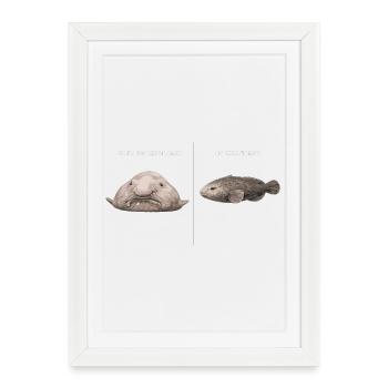 Blobfish hors contexte vs comparaison dans le contexte - Affiche encadrée (27 × 37 cm) - blanc - Devant