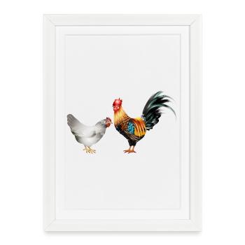 Coq coloré majestueux avec une poule - Affiche encadrée (27 × 37 cm) - blanc - Devant