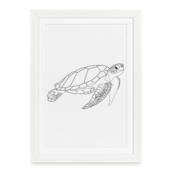 Tortue marine - Affiche encadrée (27 × 37 cm) - blanc - Devant