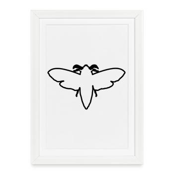 Papillon de nuit 2 - Affiche encadrée (27 × 37 cm) - blanc - Devant