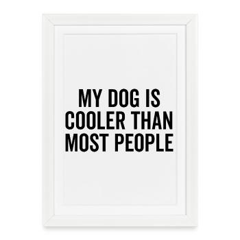 Mon chien est plus cool que la plupart des gens - Affiche encadrée (27 × 37 cm) - blanc - Devant