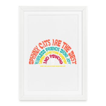 Sphynx Cat Humour sarcastique drôle - Affiche encadrée (27 × 37 cm) - blanc - Devant