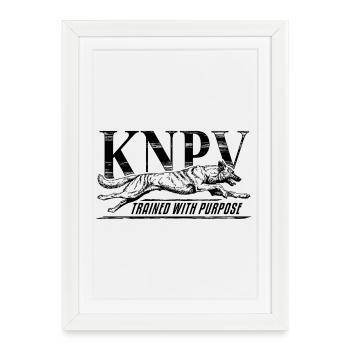 Formation de chiens de travail KNPV - Affiche encadrée (27 × 37 cm) - blanc - Devant