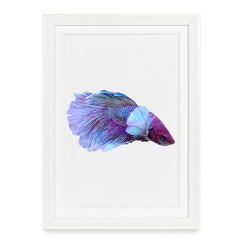 Tourbillon de couleur Violet Bleu-Betta - Affiche encadrée (27 × 37 cm) - blanc - Devant