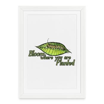 Fleuris là où tu es planté - Affiche encadrée (27 × 37 cm) - blanc - Devant