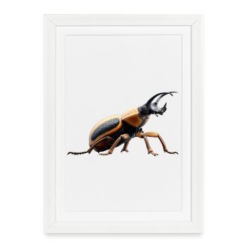 Maikäfer Süßer Hirschkäfer Nashornkäfer Insekten - Framed poster (27 × 37 cm) - white - Front