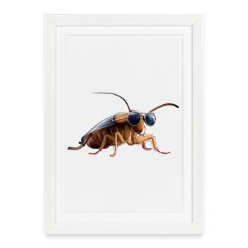 cafards insectes cafards cafards cafards - Affiche encadrée (27 × 37 cm) - blanc - Devant