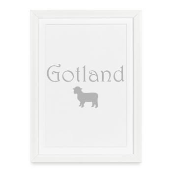 Moutons de Gotland - Affiche encadrée (27 × 37 cm) - blanc - Devant