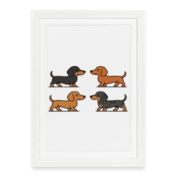 Cute Dachshund Dogs in Color Variations - Framed poster (27 × 37 cm) - white - Front