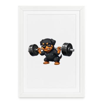 Entraînement d’entraînement avec haltère en haltérophilie Rottweiler - Affiche encadrée (27 × 37 cm) - blanc - Devant