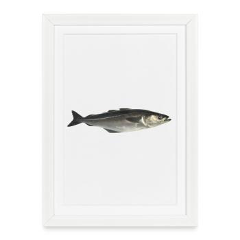 poisson - Affiche encadrée (27 × 37 cm) - blanc - Devant