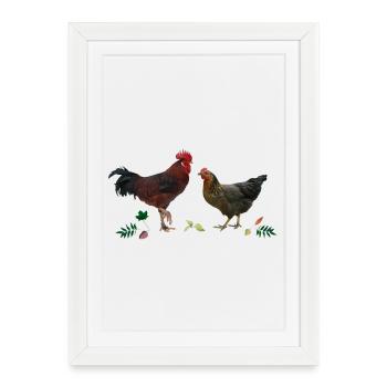 Coq et poulet - Affiche encadrée (27 × 37 cm) - blanc - Devant