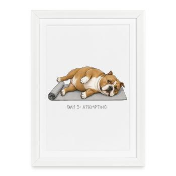 American Bully Yoga Dog Jour 3 tentative - Affiche encadrée (27 × 37 cm) - blanc - Devant