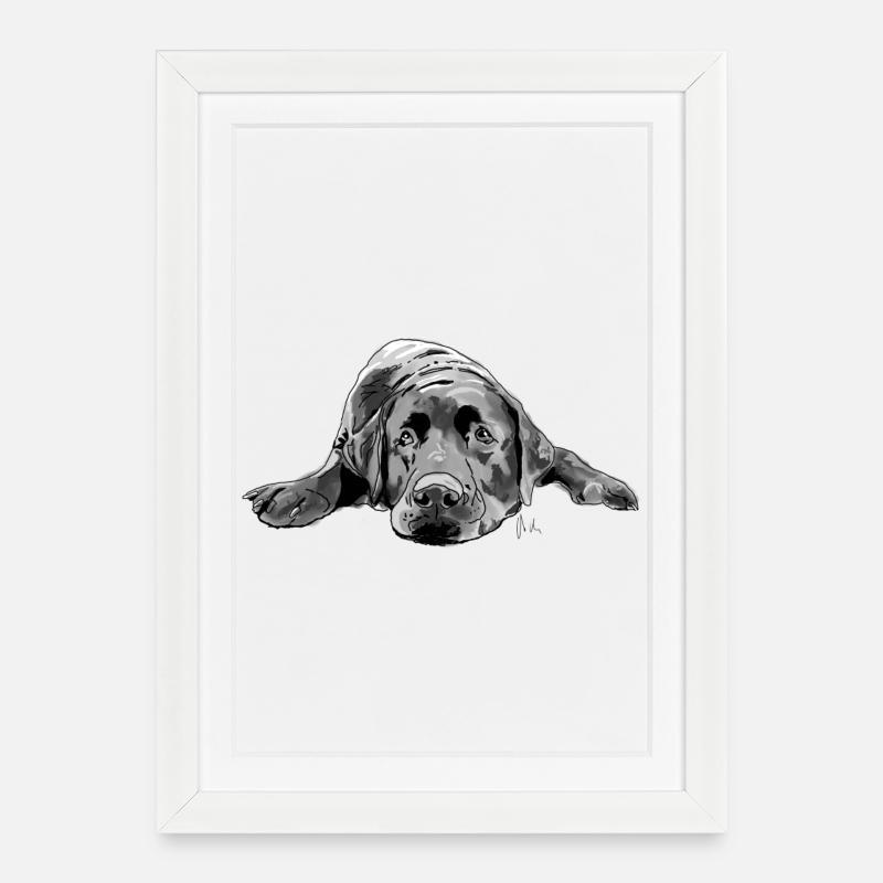 Labrador - Framed poster (27 × 37 cm) - white