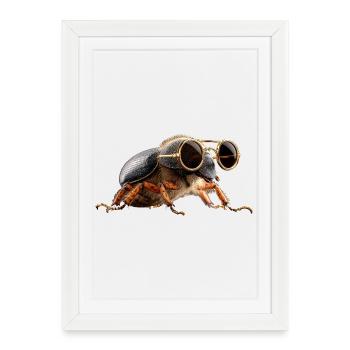 Chatte-coq, Mignon scarabée cerf, Scarabée rhinocéros, Insectes - Affiche encadrée (27 × 37 cm) - blanc - Devant
