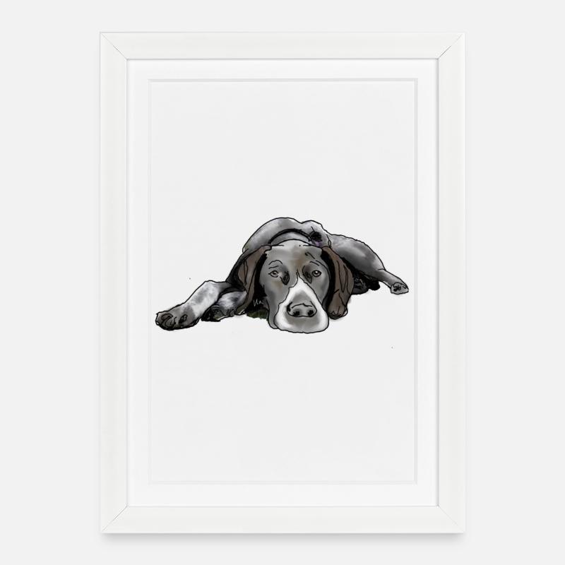 Pointer Deutsch Kurzhaar - Gerahmtes Poster (27 × 37 cm) - Weiß