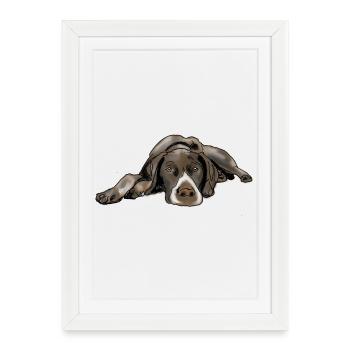 Pointer German Shorthair - Framed poster (27 × 37 cm) - white - Front