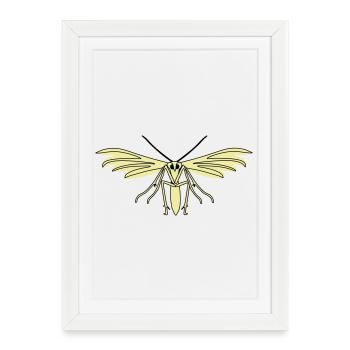 Feather moth - Framed poster (27 × 37 cm) - white - Front