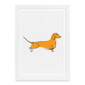 Gamme teckel - Affiche encadrée (27 × 37 cm) - blanc - Devant
