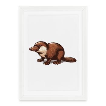 Platypus - Framed poster (27 × 37 cm) - white - Front