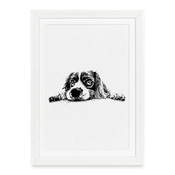 Cocker Spaniel - Affiche encadrée (27 × 37 cm) - blanc - Devant