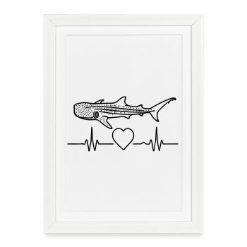 Requin-baleine - L’élégance des mers | . Océan. Nature - Affiche encadrée (27 × 37 cm) - blanc - Devant