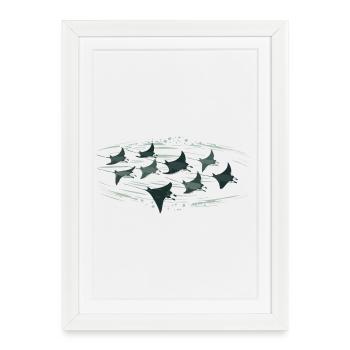 Banc de raies manta – Un monde sous-marin élégant - Affiche encadrée (27 × 37 cm) - blanc - Devant