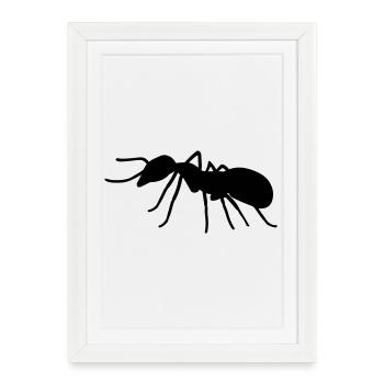 Ant - Framed poster (27 × 37 cm) - white - Front