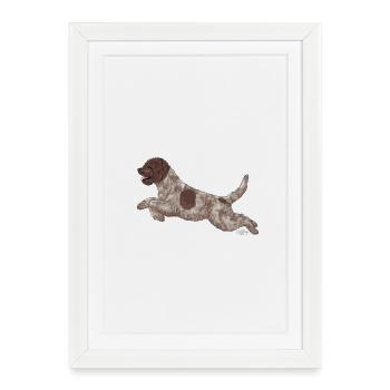 lagottovain5 - Affiche encadrée (27 × 37 cm) - blanc - Devant