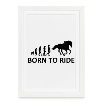 Born to Ride Horse - Framed poster (27 × 37 cm) - white - Front
