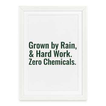 Sustainable Horticulture Sayings Regenerative Agriculture - Framed poster (27 × 37 cm) - white - Front