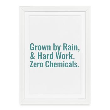 Sustainable Horticulture Sayings Regenerative Agriculture - Framed poster (27 × 37 cm) - white - Front