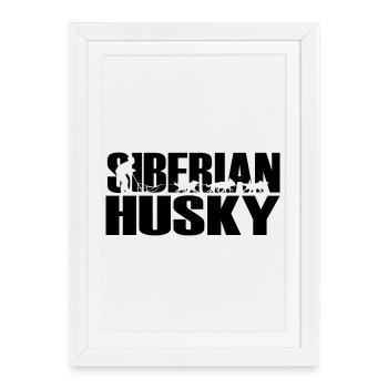 Huskies Siberian Husky - Framed poster (27 × 37 cm) - white - Front