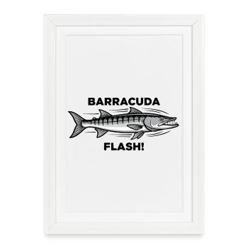 Barracuda Flash Predator Sea Barracuda - Framed poster (27 × 37 cm) - white - Front