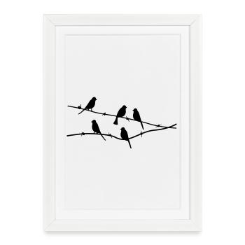 oiseaux - Affiche encadrée (27 × 37 cm) - blanc - Devant