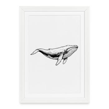 Baleine bleue - Affiche encadrée (27 × 37 cm) - blanc - Devant
