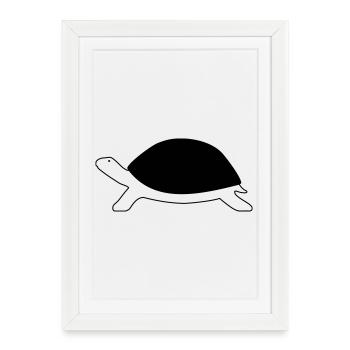 Turtle - Framed poster (27 × 37 cm) - white - Front