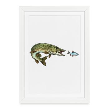 Le brochet chasse le poisson - Affiche encadrée (27 × 37 cm) - blanc - Devant