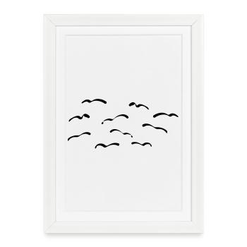 Oiseaux - Affiche encadrée (27 × 37 cm) - blanc - Devant