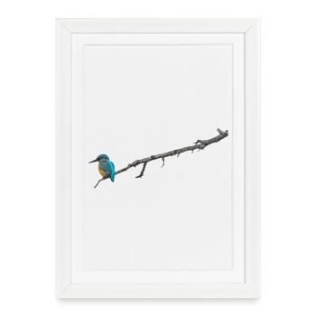 Kingfisher on a branch - Framed poster (27 × 37 cm) - white - Front