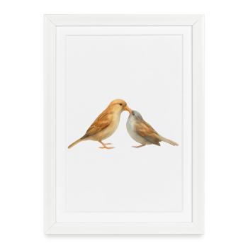 Motif des oiseaux 1 - Affiche encadrée (27 × 37 cm) - blanc - Devant