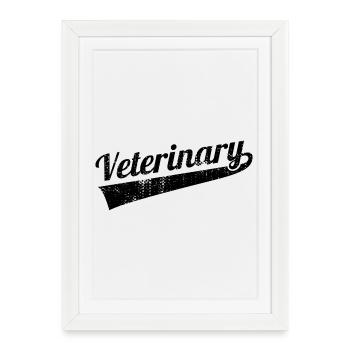 Veterinarian - Framed poster (27 × 37 cm) - white - Front