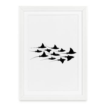 Manta Rays Diving Stingrays Manta Rays Divers - Framed poster (27 × 37 cm) - white - Front