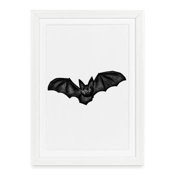 Bat - Framed poster (27 × 37 cm) - white - Front